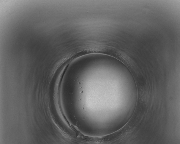 X0000061150586200511241833