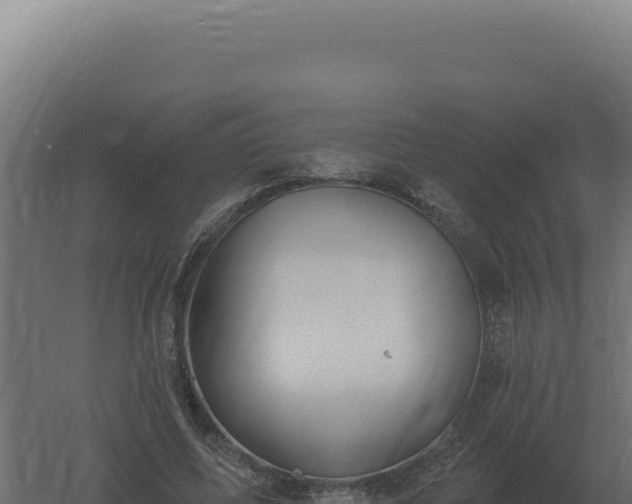 X0000061150587200511241833