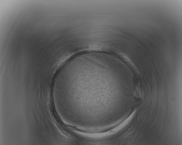 X0000061150588200511241833