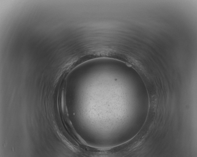 X0000061150589200511241833