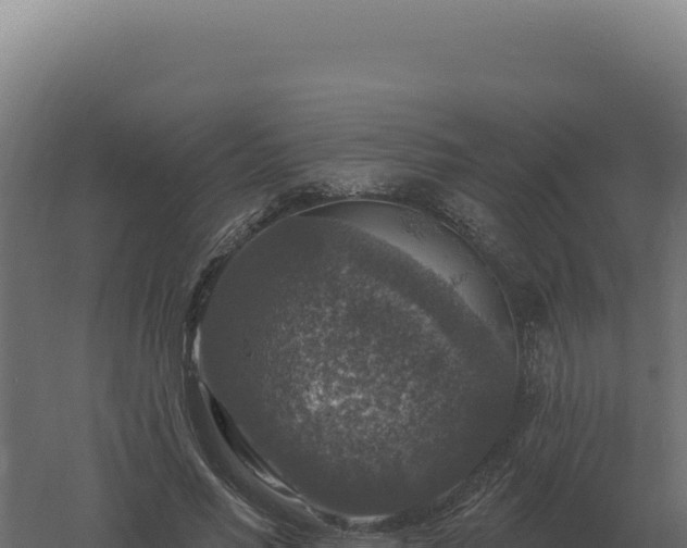 X0000061150590200511241833