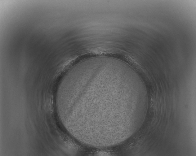 X0000061150592200511241833