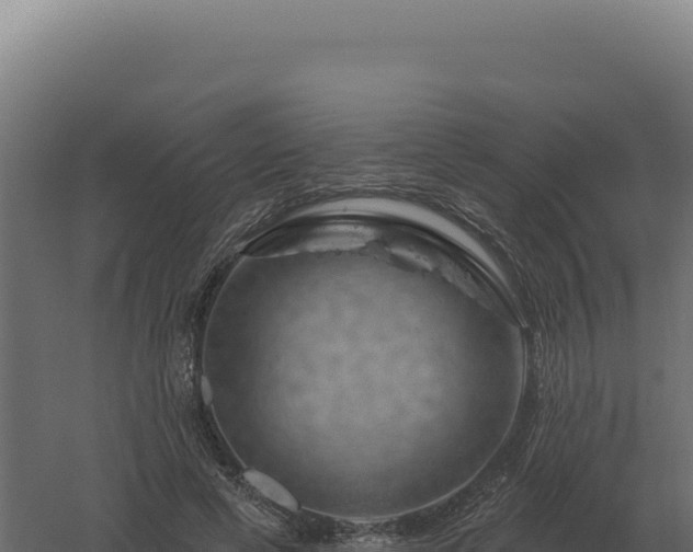 X0000061150593200511241833