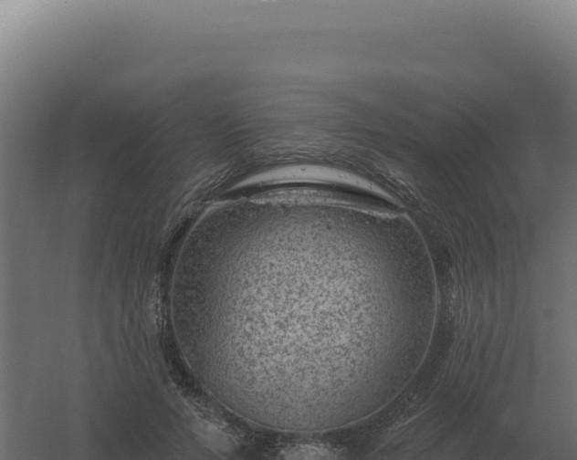 X0000061150594200511241833