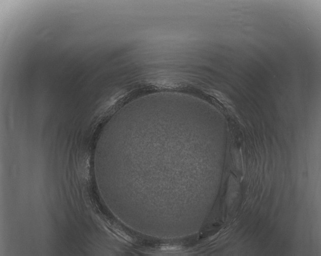 X0000061150596200511241833