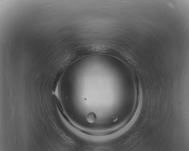 X0000061150597200511241833