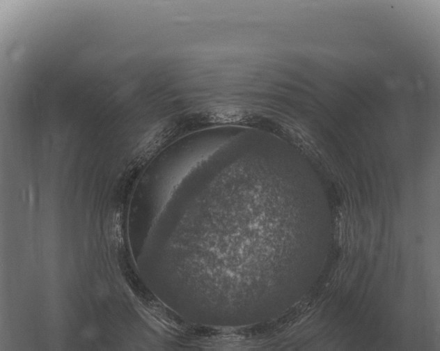 X0000061150598200511241833