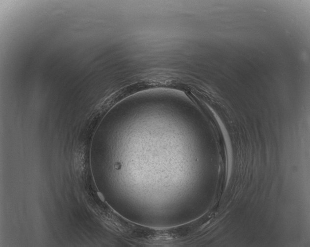 X0000061150600200511241833