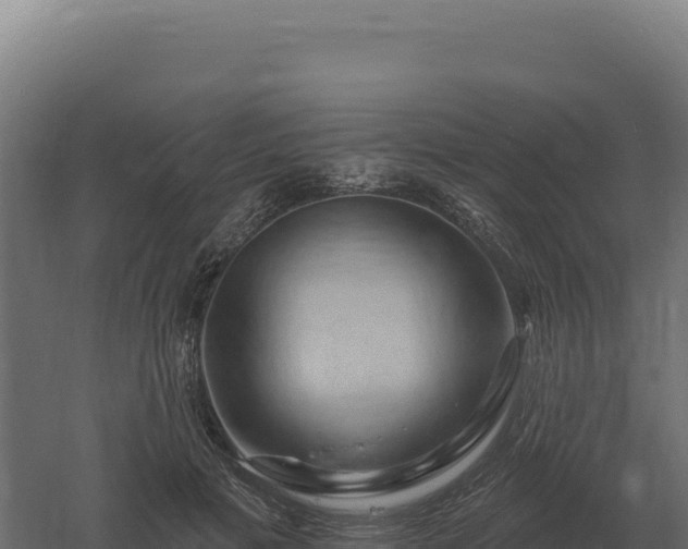 X0000061150601200511241833