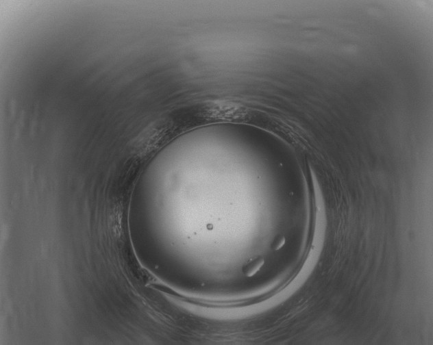 X0000061150602200511241833