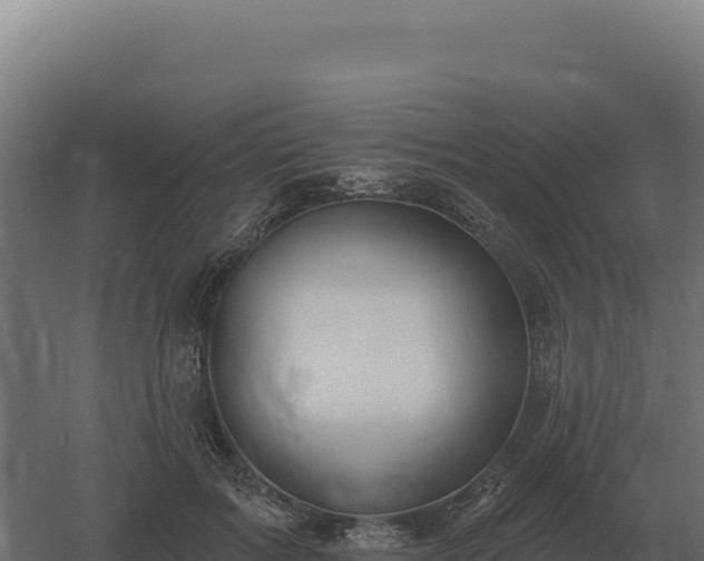 X0000061150603200511241833