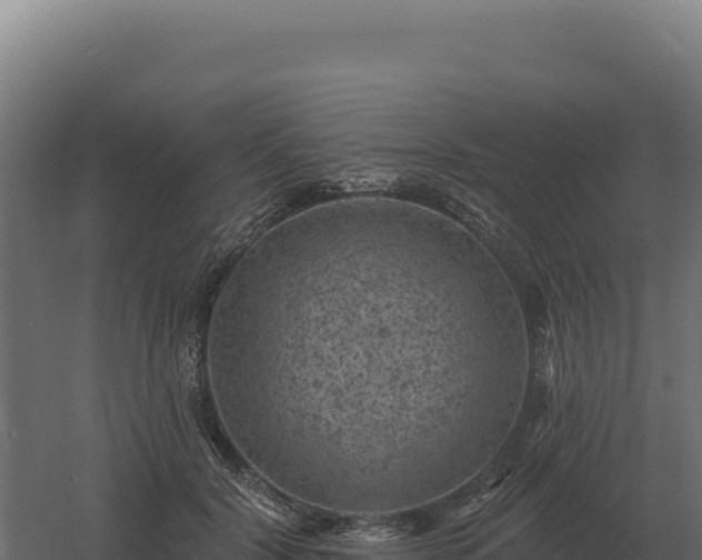 X0000061150604200511241833