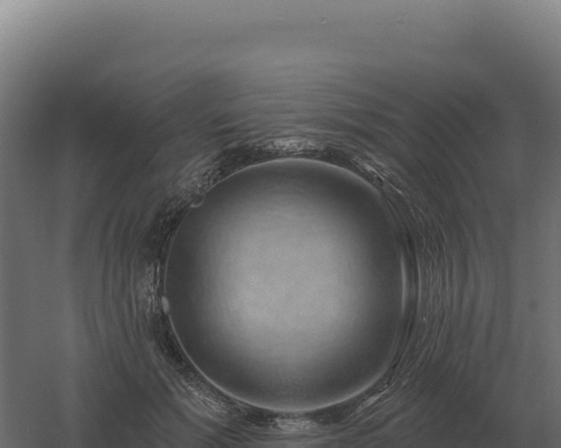 X0000061150605200511241833