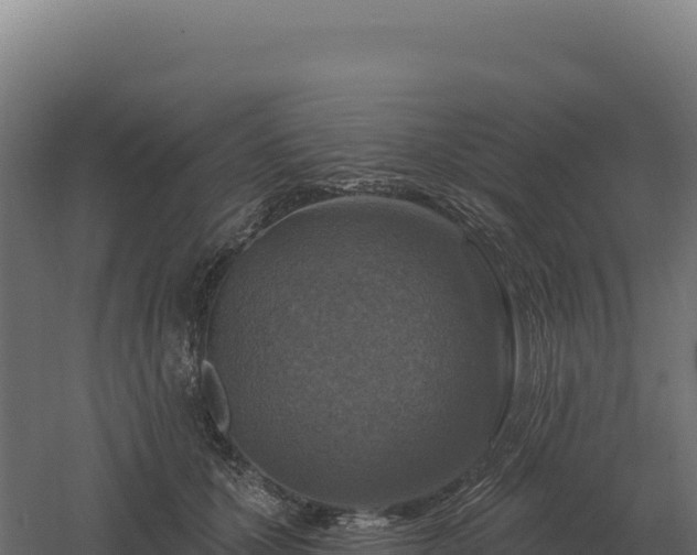 X0000061150607200511241833