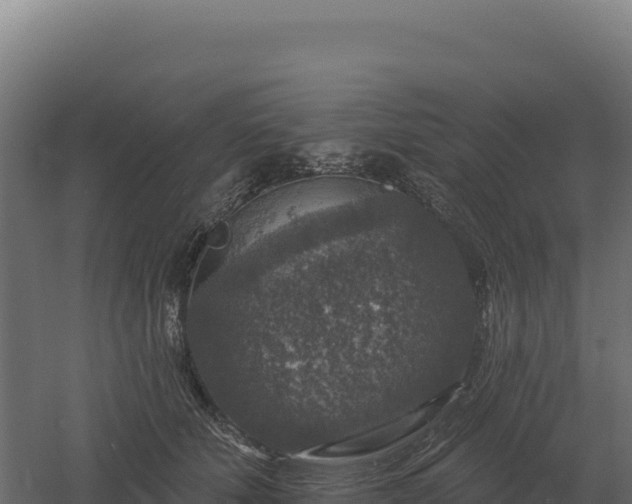 X0000061150610200511241833