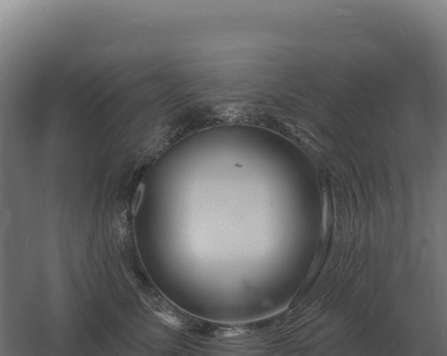 X0000061150611200511241833