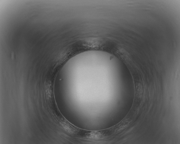 X0000061150612200511241833