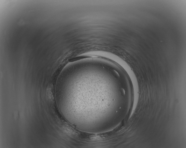 X0000061150616200511241833