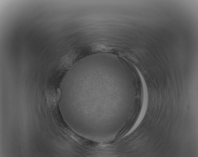 X0000061150617200511241833