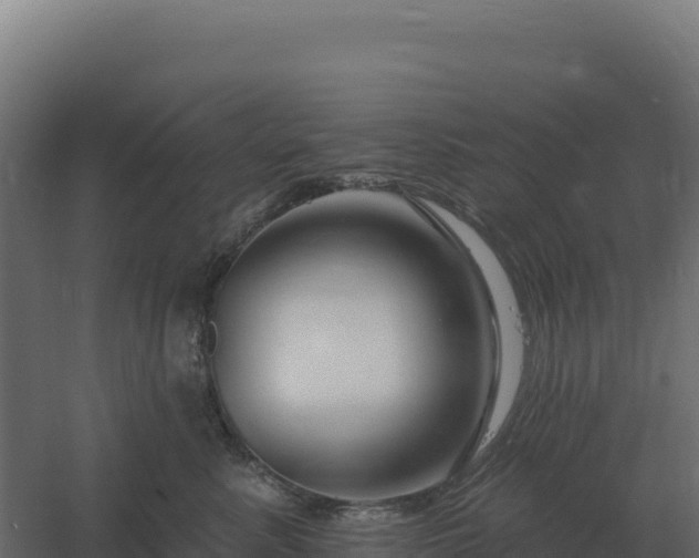 X0000061150619200511241832