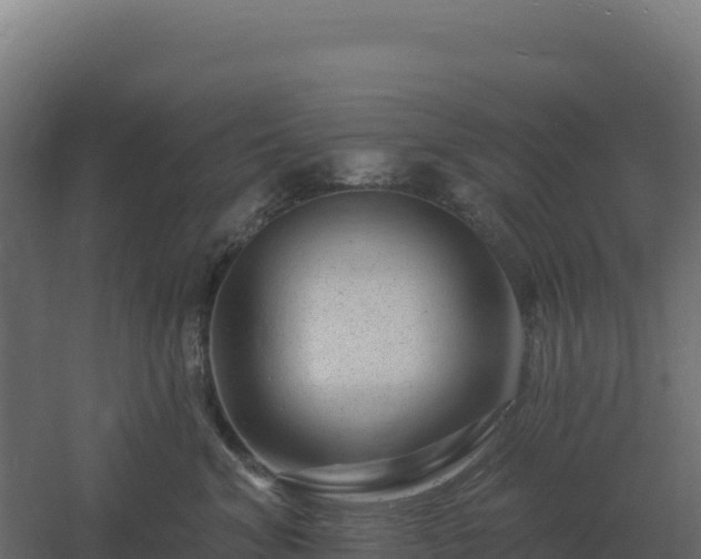 X0000061150620200511241832