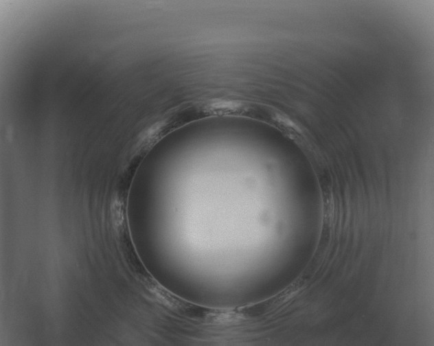 X0000061150621200511241832