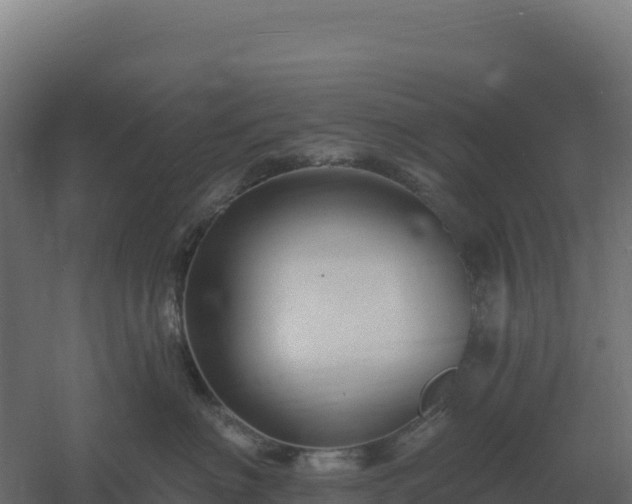 X0000061150622200511241832