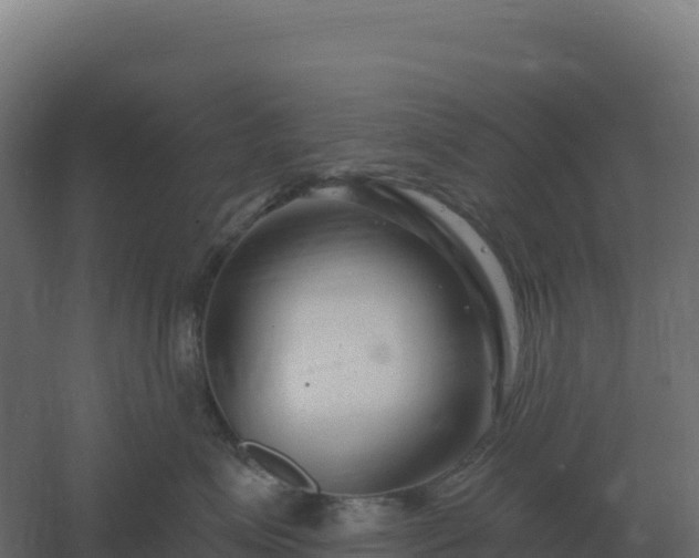 X0000061150623200511241832