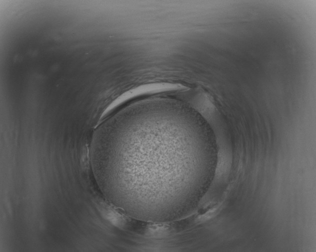 X0000061150624200511241832