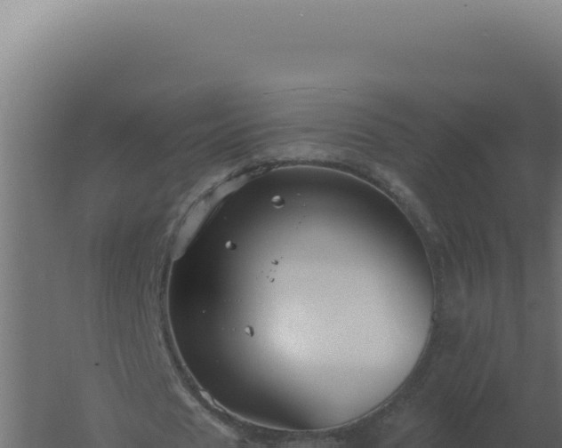 X0000061150625200511241832