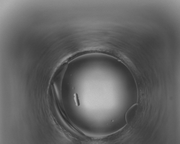 X0000061150628200511241832