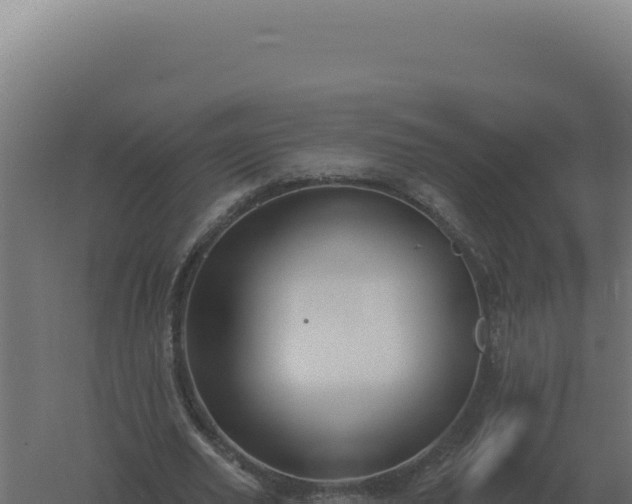 X0000061150629200511241832