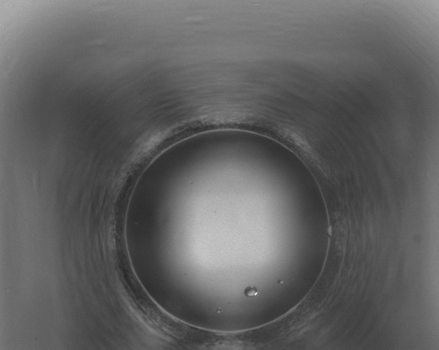 X0000061150631200511241832