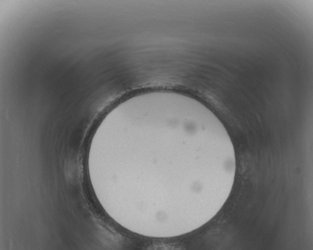 X0000061150632200511241832