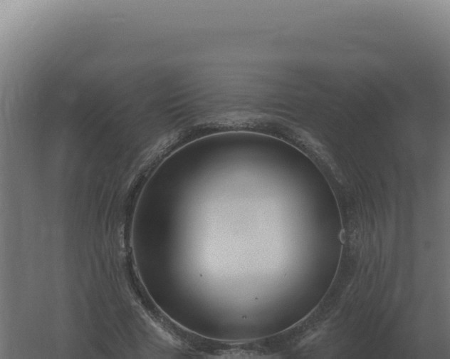 X0000061150633200511241832