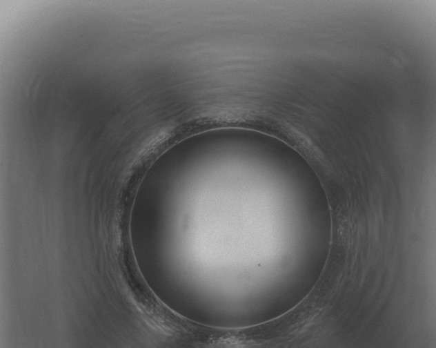 X0000061150635200511241832