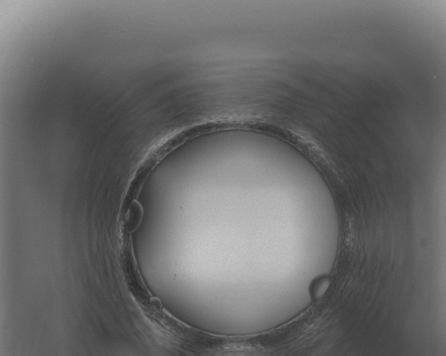 X0000061150636200511241832