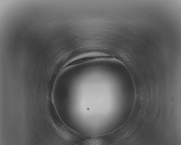 X0000061150639200511241832