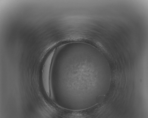 X0000061150640200511241832