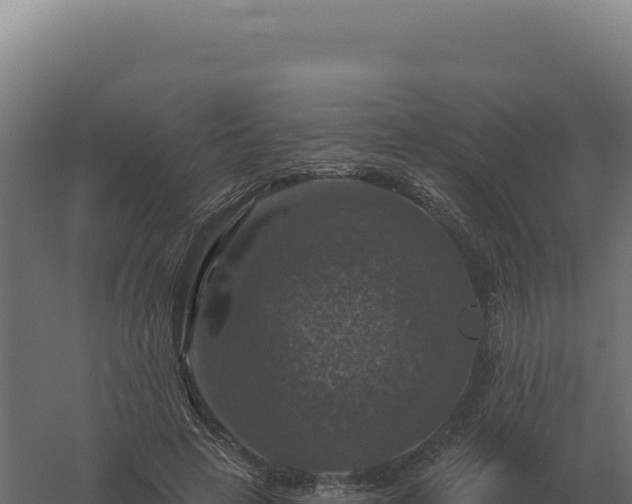 X0000061150641200511241832