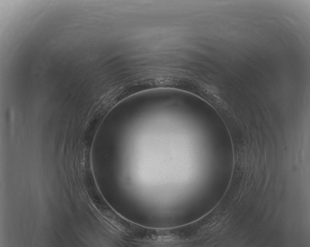 X0000061150645200511241832