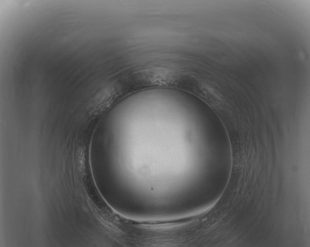 X0000061150646200511241832