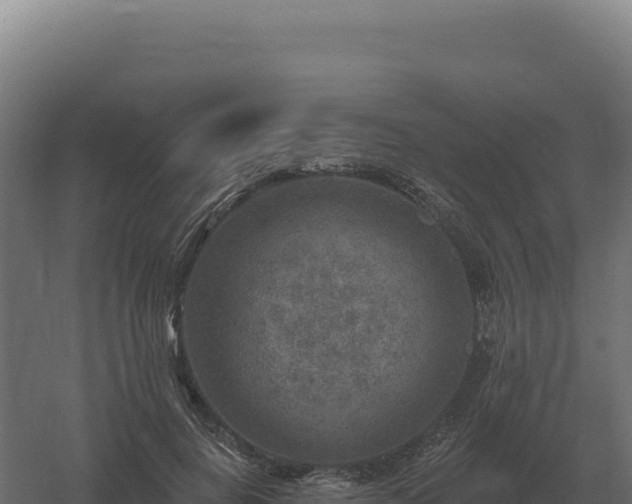 X0000061150648200511241832