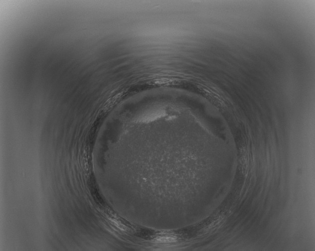 X0000061150653200511241832