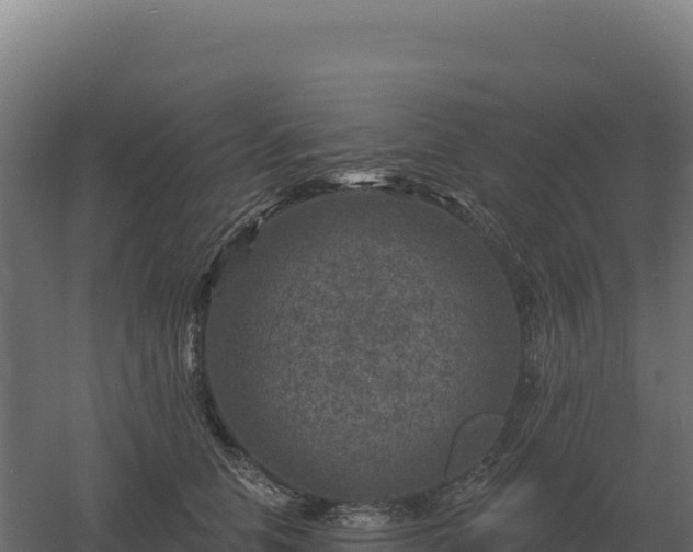 X0000061150658200511241832