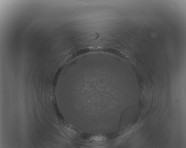 X0000061150659200511241832