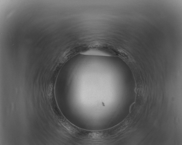 X0000061150660200511241832