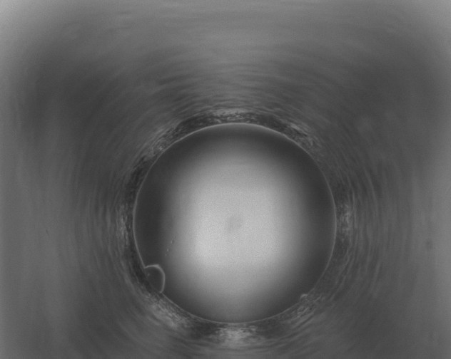 X0000061150662200511241832