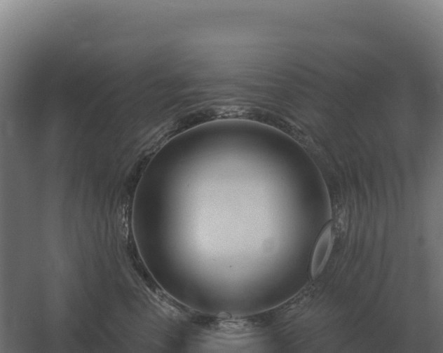 X0000061150666200511241832