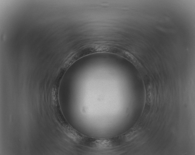 X0000061150667200511241832